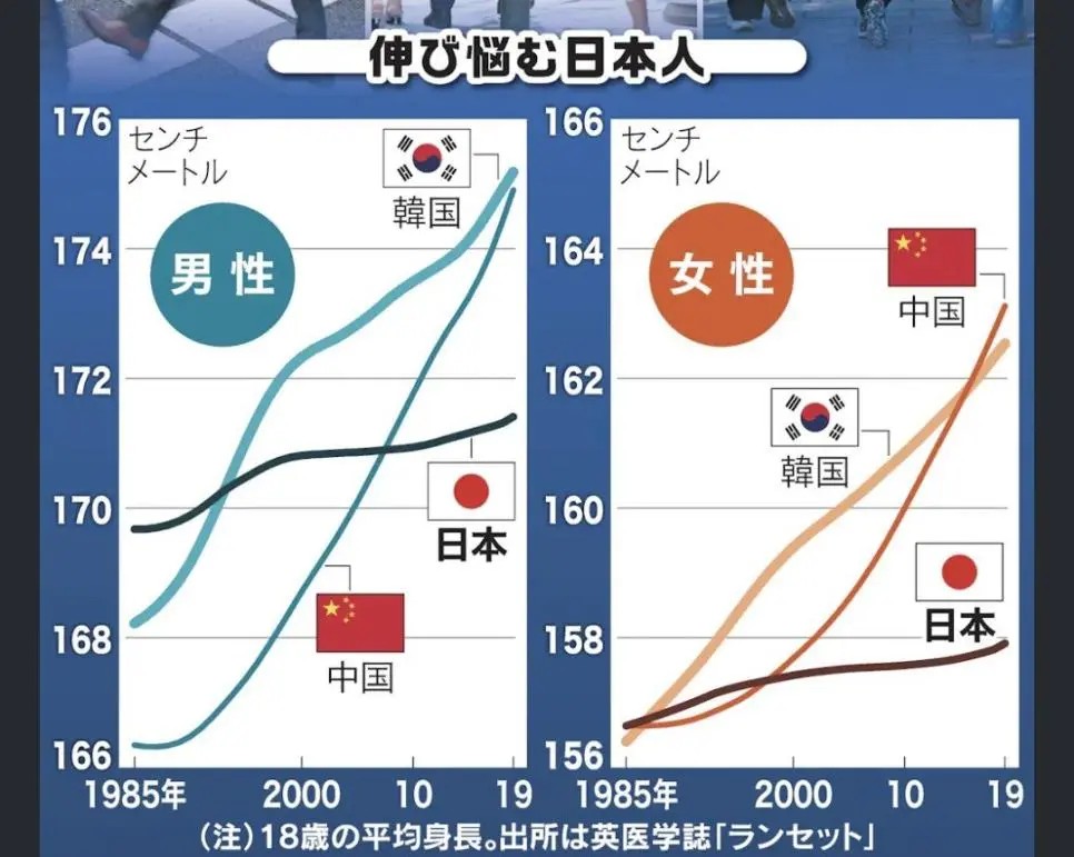 伸び悩む日本人 — 한·중·일 18세 평균 키(1985–2019). 일본 언론 인포그래픽, 출처 표기는 영의학지 랜싯
